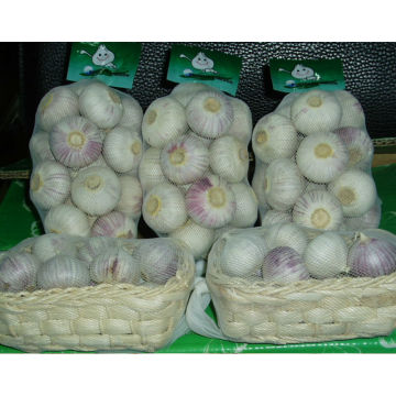 Purple garlic/Fresh garlic/Garlic price per ton from China